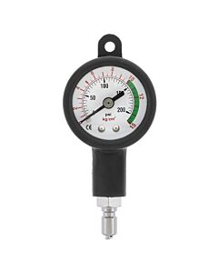 Dual-Scale Compact IP Gauge