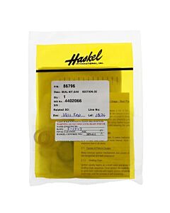 Haskel Gas Section Seal Kit