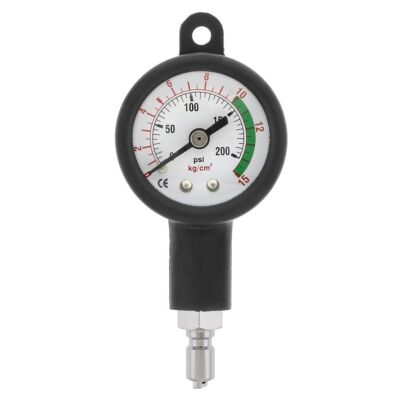 Dual-Scale Compact IP Gauge