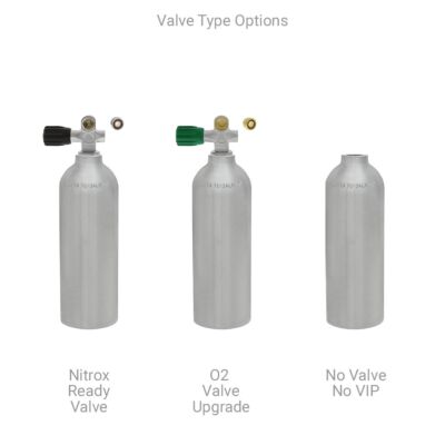 Valve Type Options